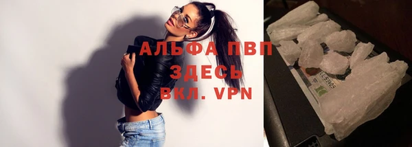 спиды Покачи